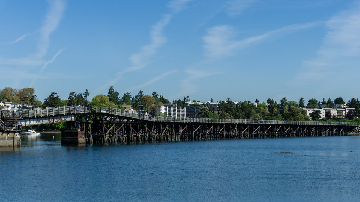 The Selkirk Trestle — the Galloping Goose trail's long timber rail bridge — crossing the water on a clear blue day.