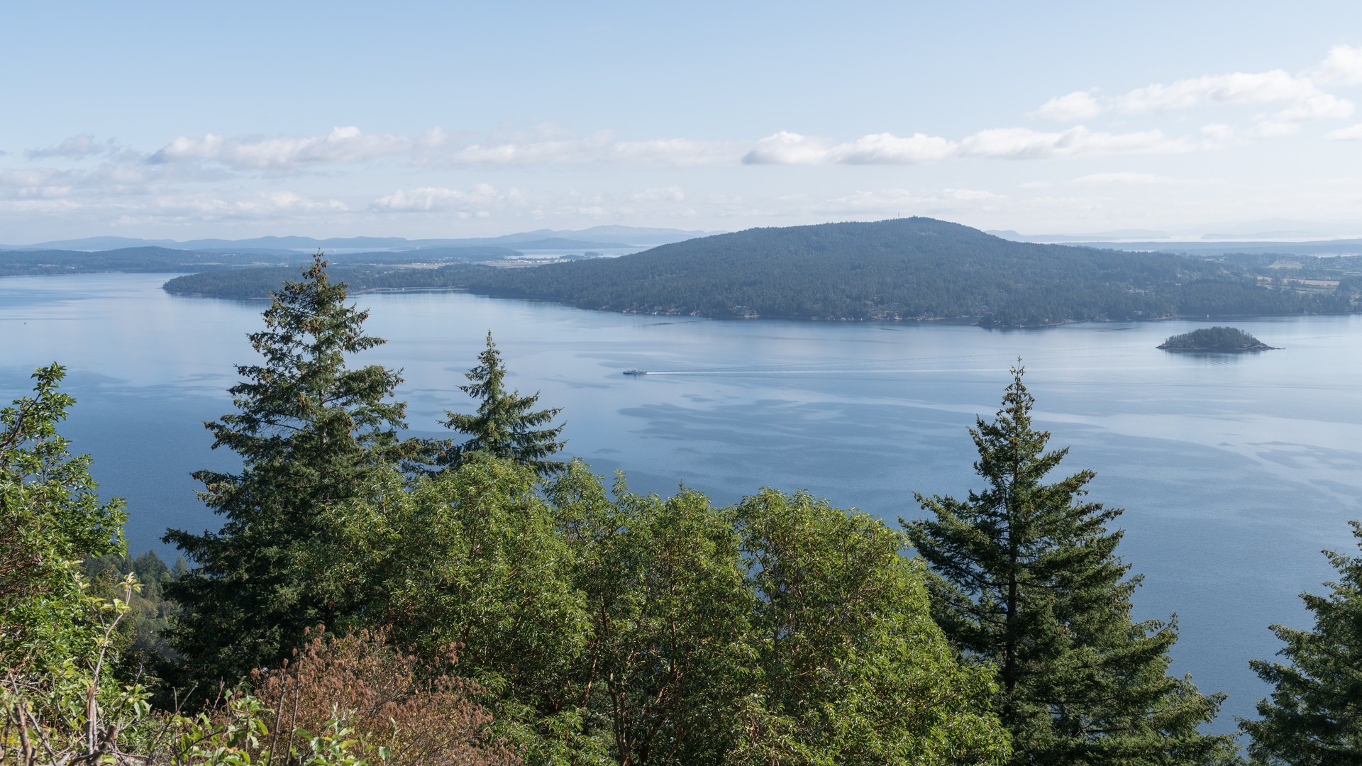 The view from the Malahat over Saanich Inlet — forested hills and islands, a ferry's wake crossing the calm water far below.